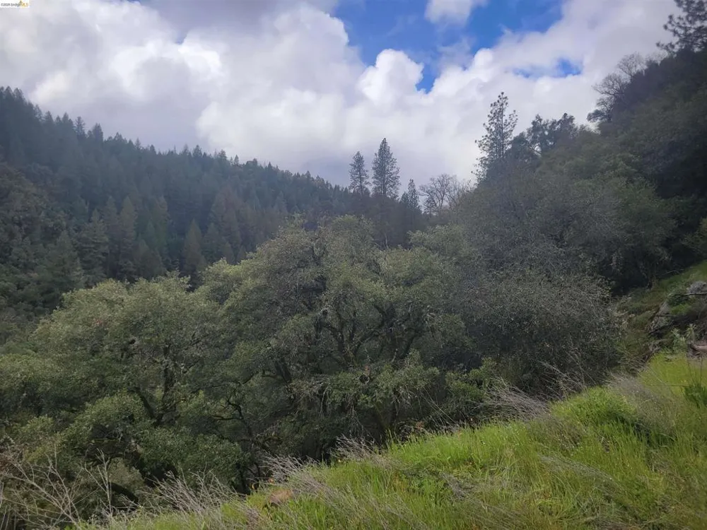 2883 Railroad Flat Rd Wilseyville, CA 95257