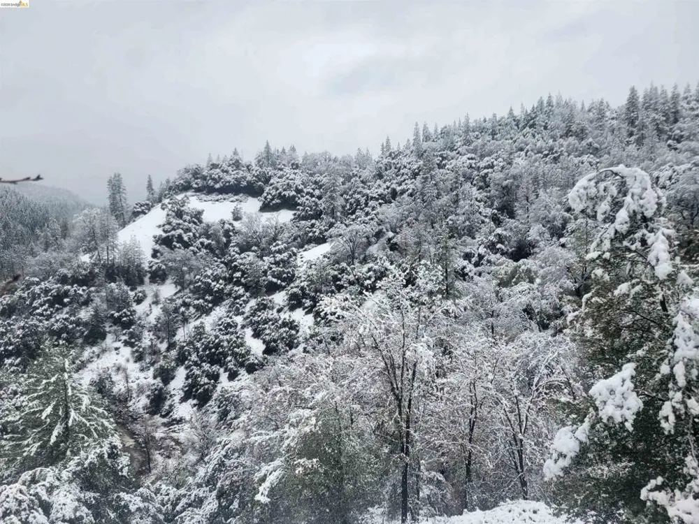 2883 Railroad Flat Rd Wilseyville, CA 95257