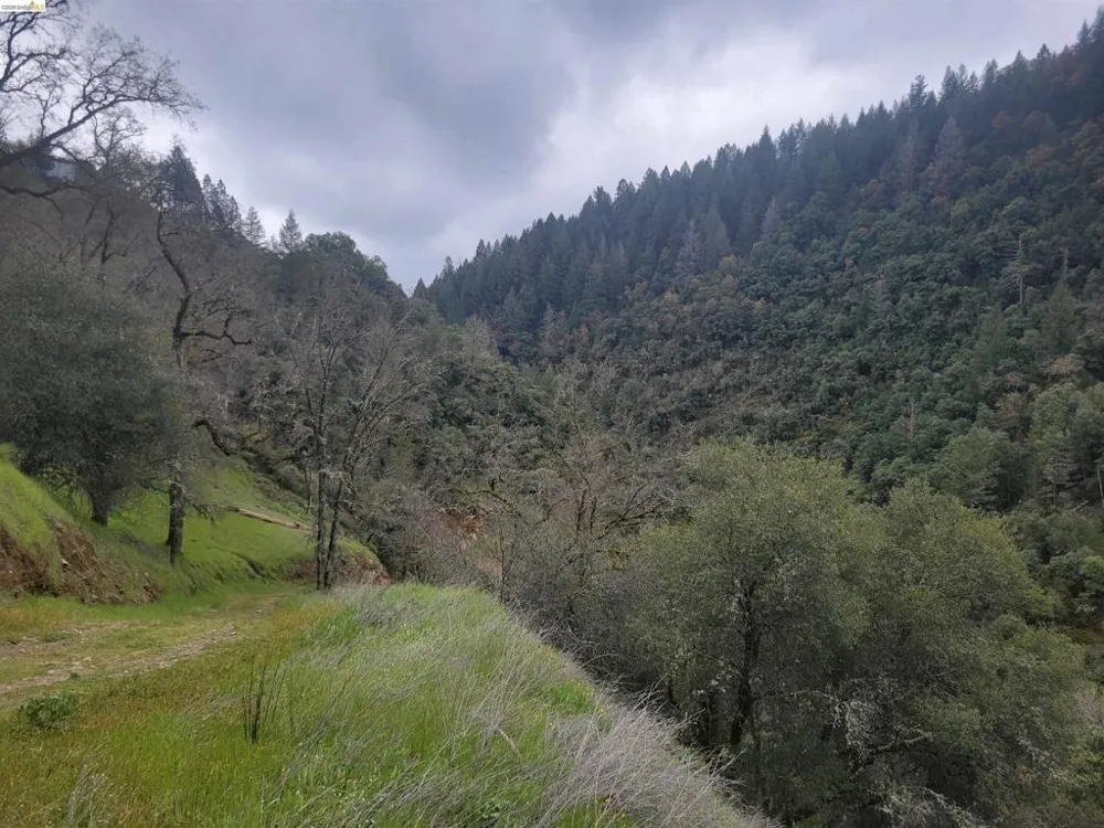 2883 Railroad Flat Rd Wilseyville, CA 95257