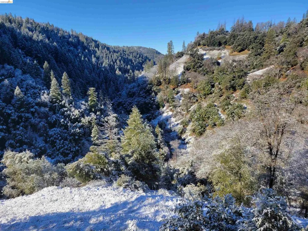 2883 Railroad Flat Rd Wilseyville, CA 95257