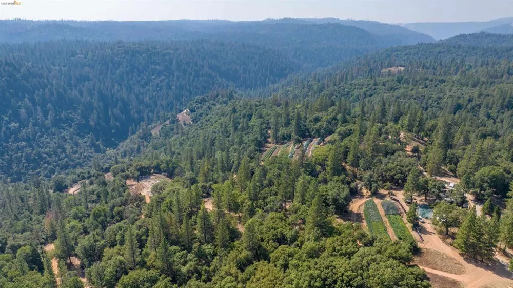 2883 Railroad Flat Rd Wilseyville, CA 95257