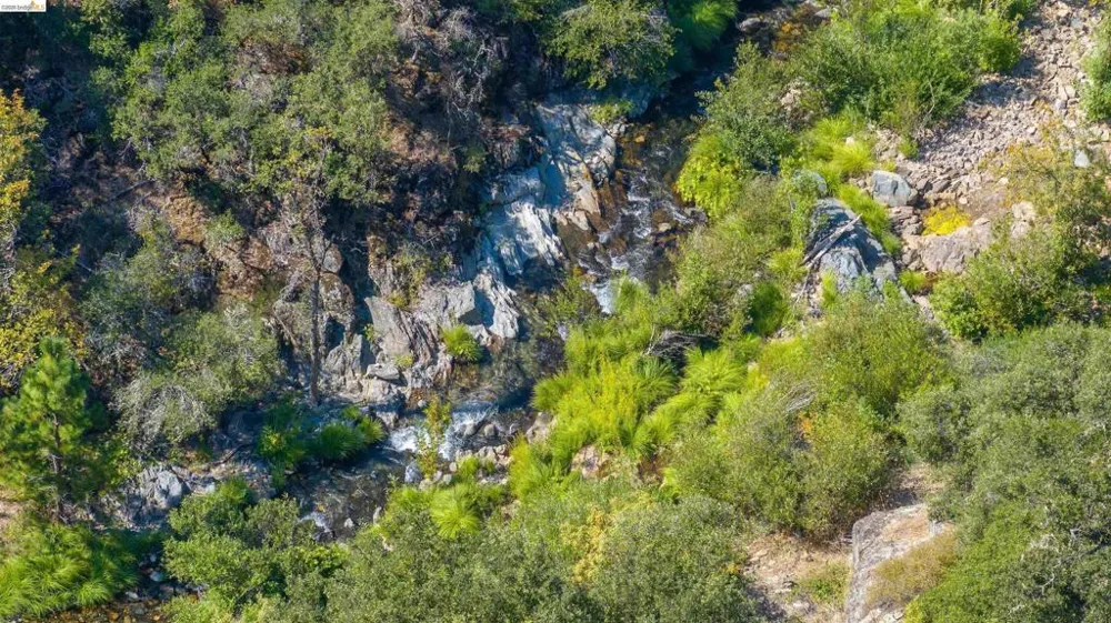 2883 Railroad Flat Rd Wilseyville, CA 95257