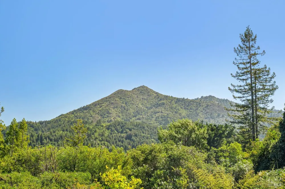 65 Rock Road Kentfield, CA 94904