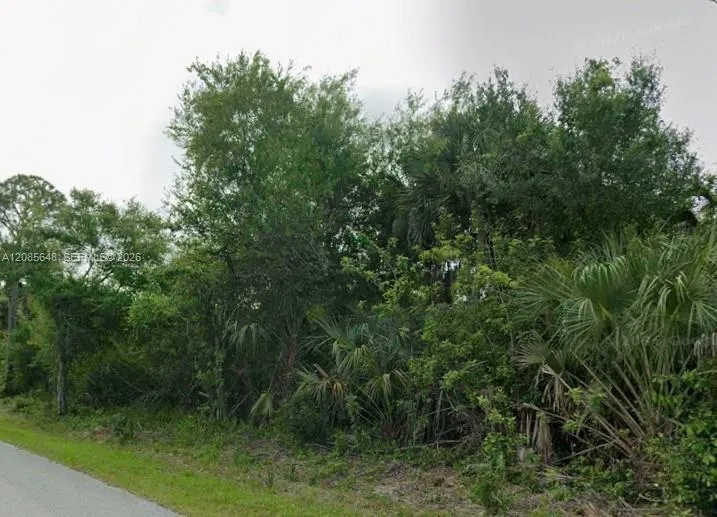 23343 Buckner Ave Port Charlotte, FL 33980