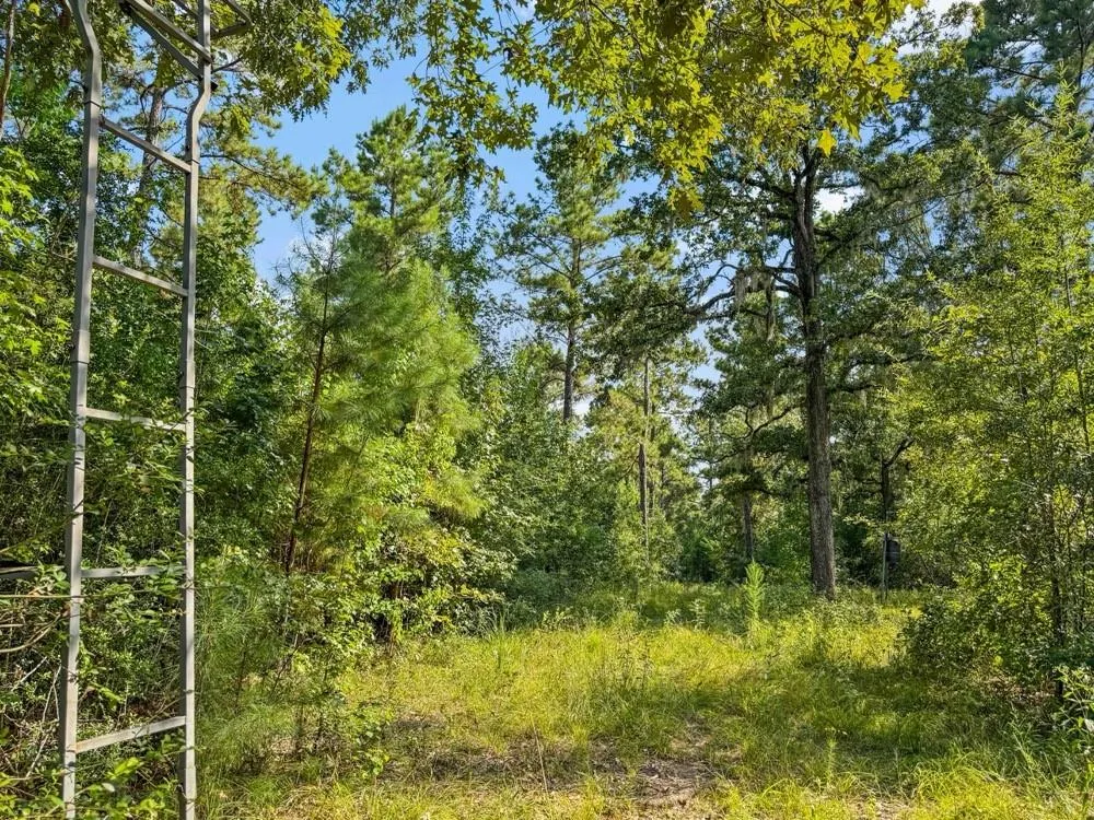 1100 Cr 2306 Cleveland, TX 77327