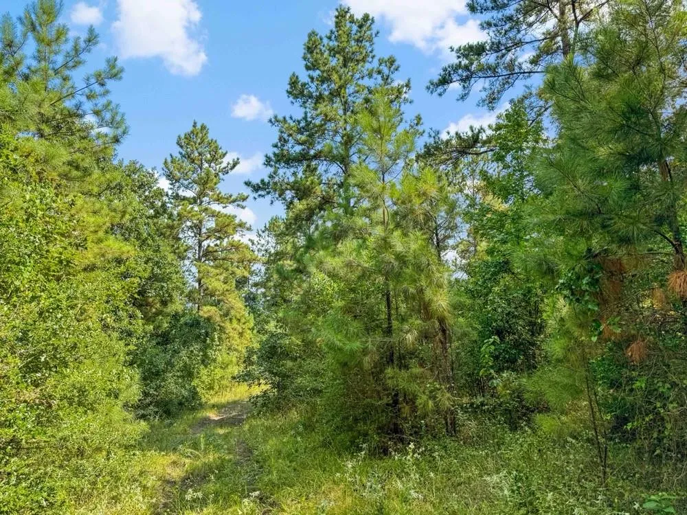 1100 Cr 2306 Cleveland, TX 77327