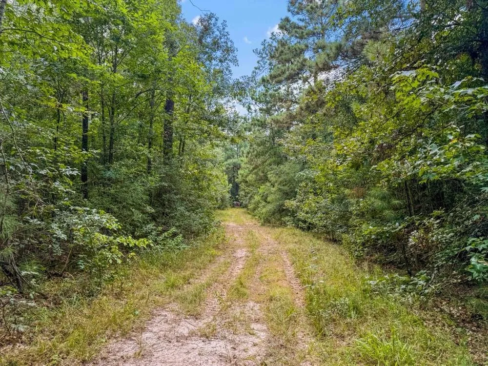 1100 Cr 2306 Cleveland, TX 77327