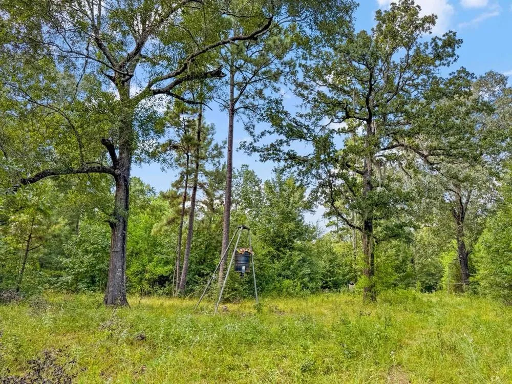 1100 Cr 2306 Cleveland, TX 77327