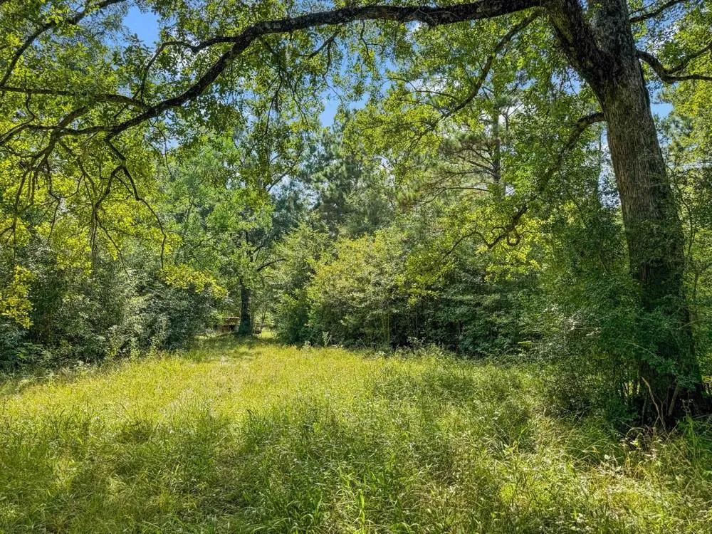1100 Cr 2306 Cleveland, TX 77327