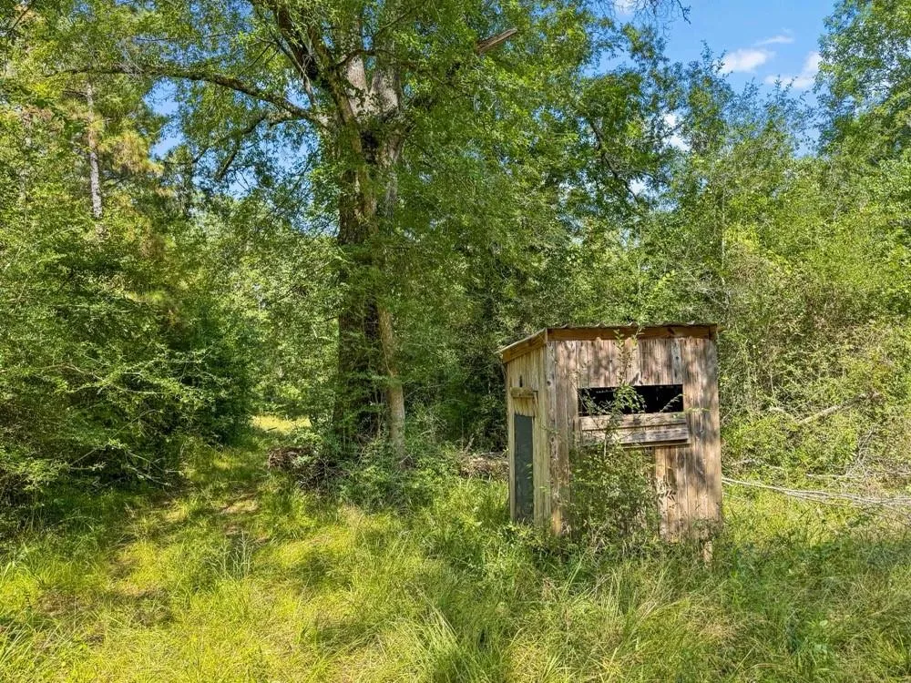 1100 Cr 2306 Cleveland, TX 77327