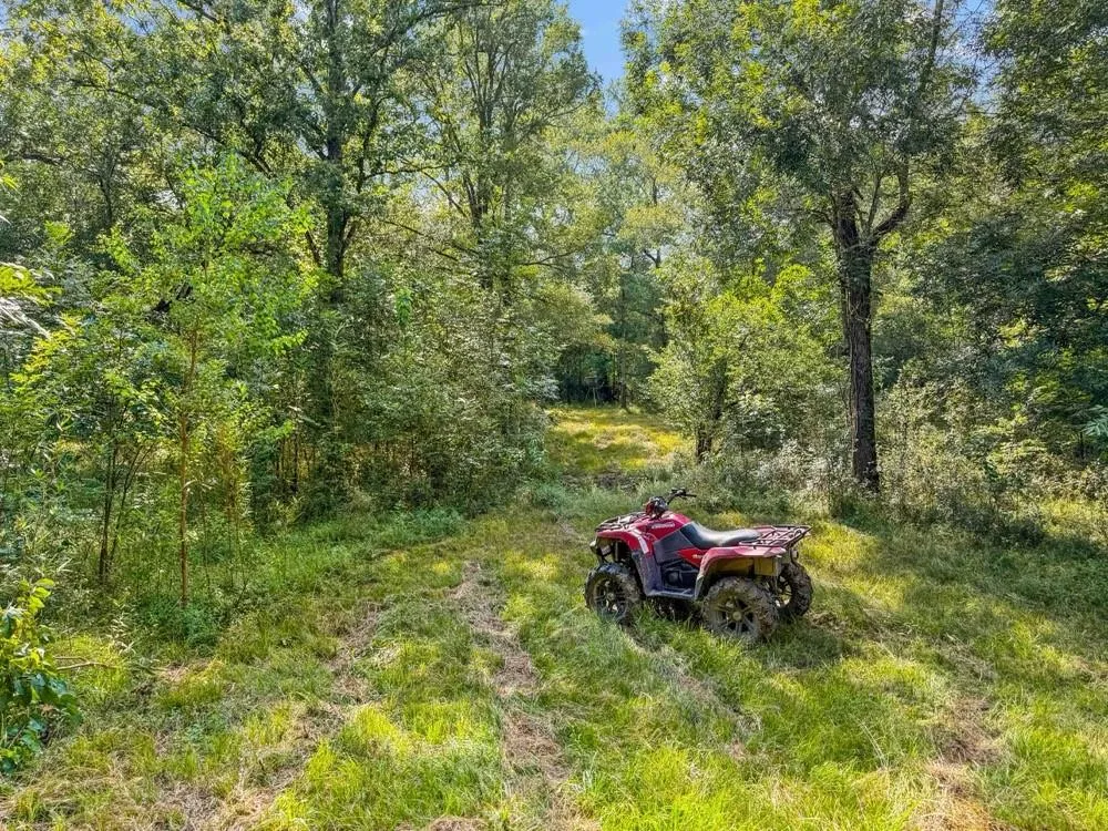 1100 Cr 2306 Cleveland, TX 77327