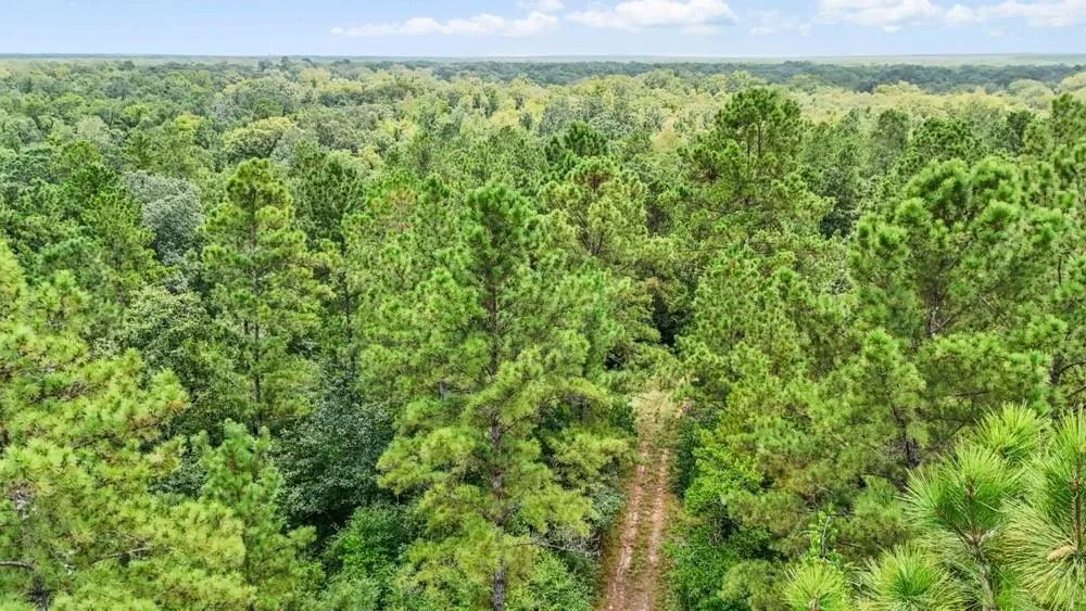 1100 Cr 2306 Cleveland, TX 77327