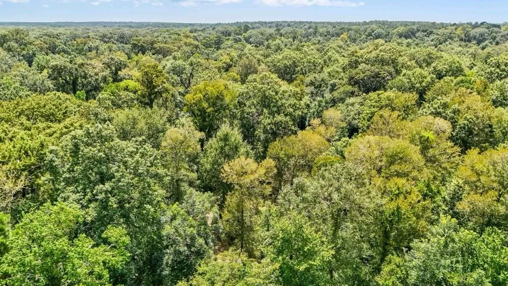 1100 Cr 2306 Cleveland, TX 77327