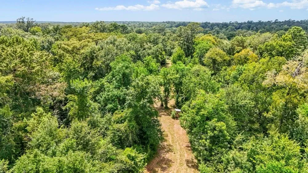 1100 Cr 2306 Cleveland, TX 77327