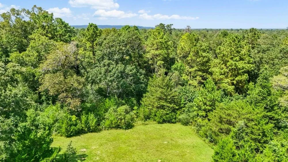 1100 Cr 2306 Cleveland, TX 77327