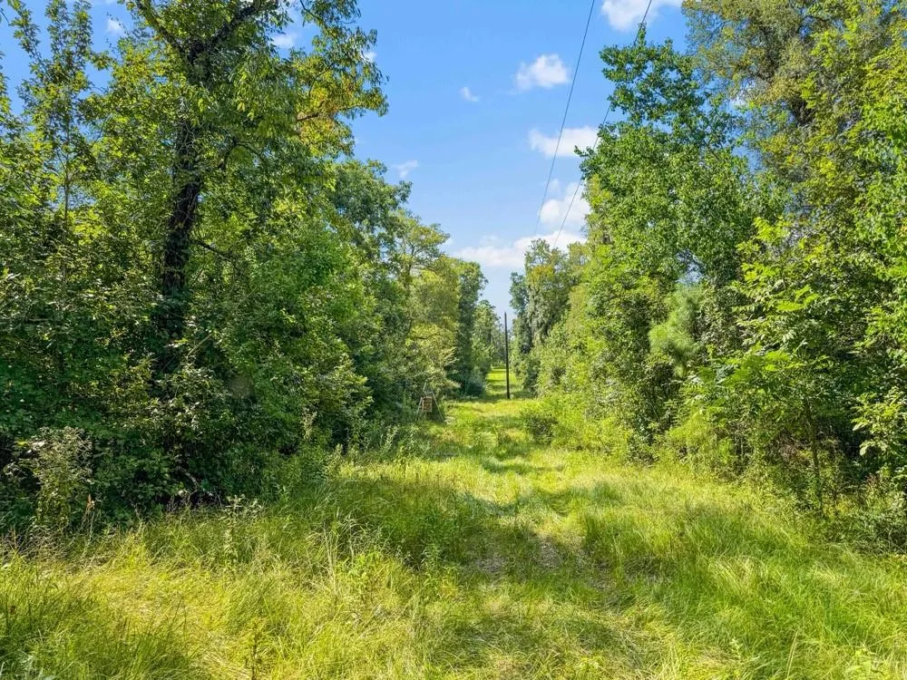1100 Cr 2306 Cleveland, TX 77327