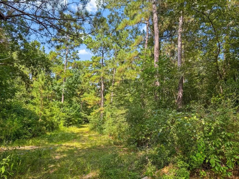 1100 Cr 2306 Cleveland, TX 77327