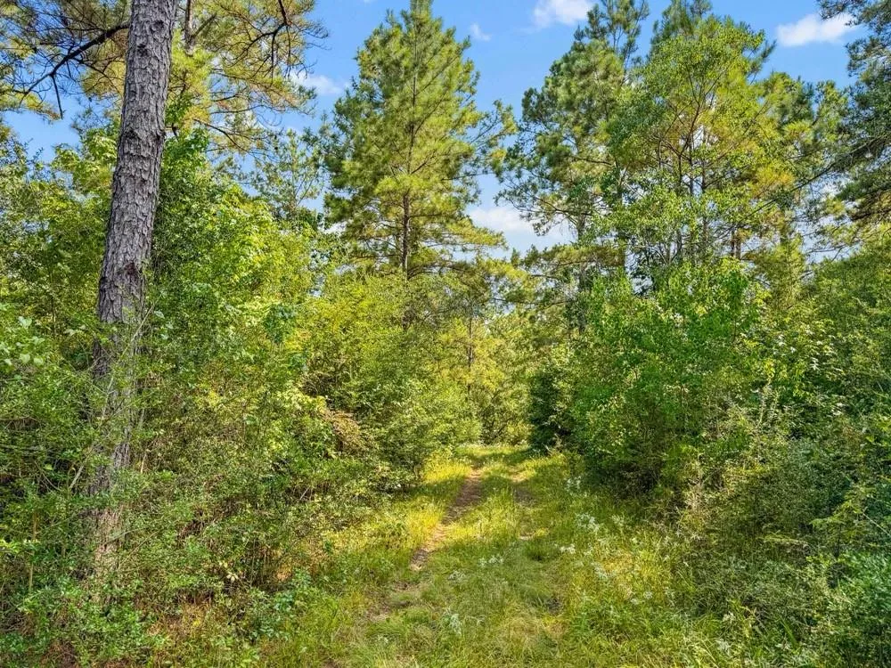 1100 Cr 2306 Cleveland, TX 77327