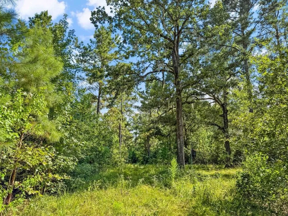 1100 Cr 2306 Cleveland, TX 77327