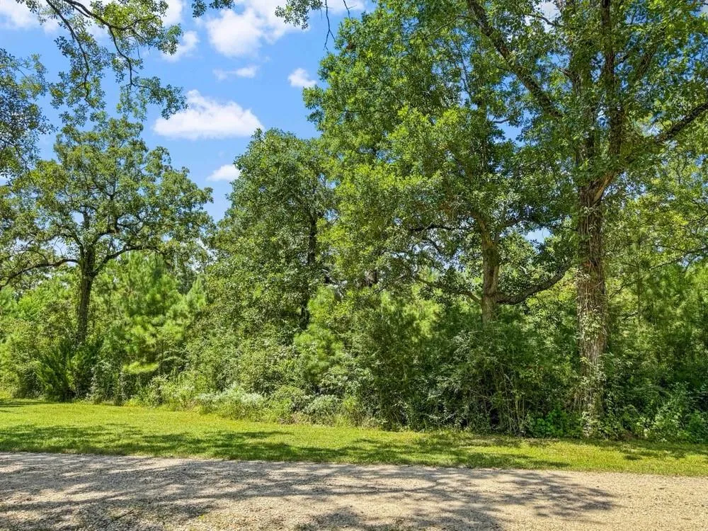 1100 Cr 2306 Cleveland, TX 77327