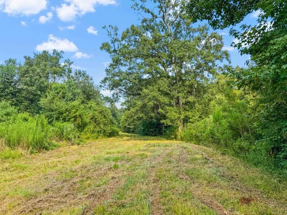 1100 Cr 2306 Cleveland, TX 77327