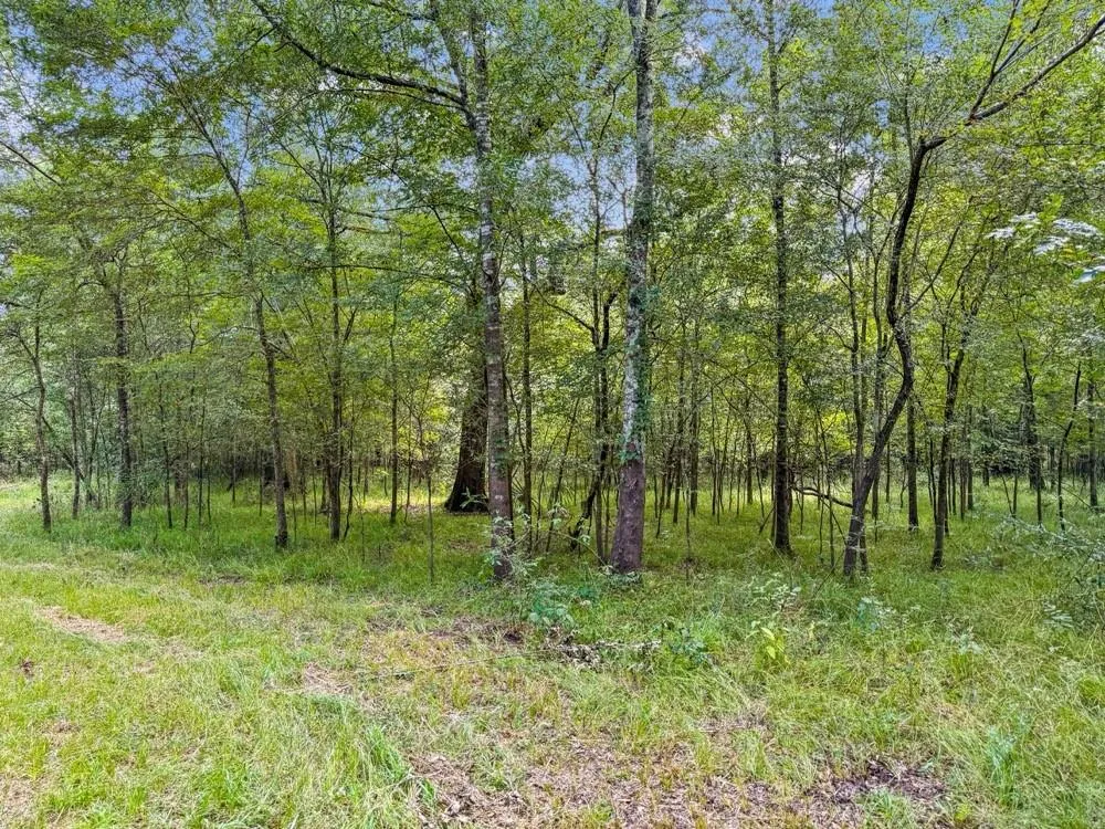 1100 Cr 2306 Cleveland, TX 77327