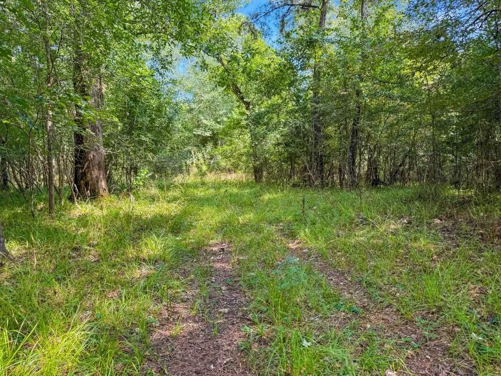 1100 Cr 2306 Cleveland, TX 77327