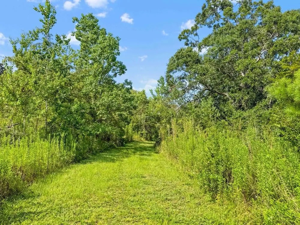 1100 Cr 2306 Cleveland, TX 77327