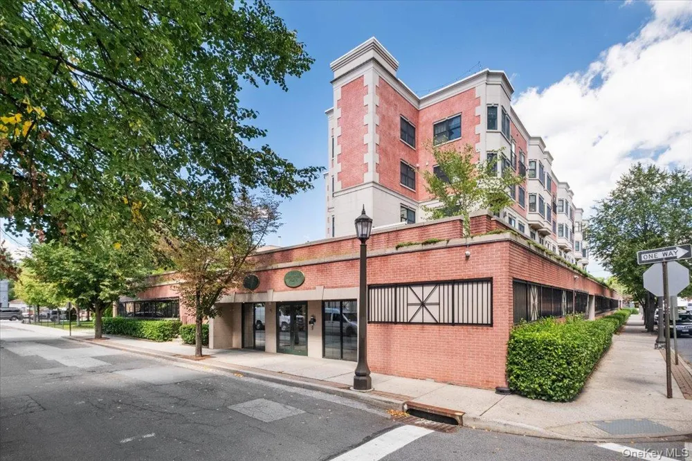 101 Sheldrake Place #20 Mamaroneck, NY 10543