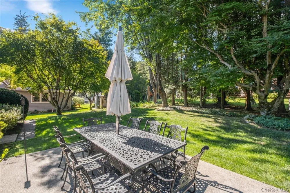 19 Dartmouth Terrace White Plains, NY 10607