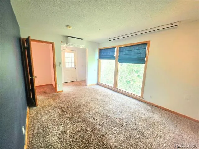204 Bristlecone Way Black Hawk, CO 80422