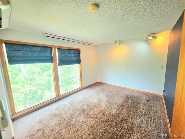 204 Bristlecone Way Black Hawk, CO 80422