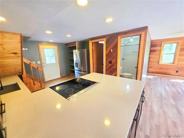 204 Bristlecone Way Black Hawk, CO 80422