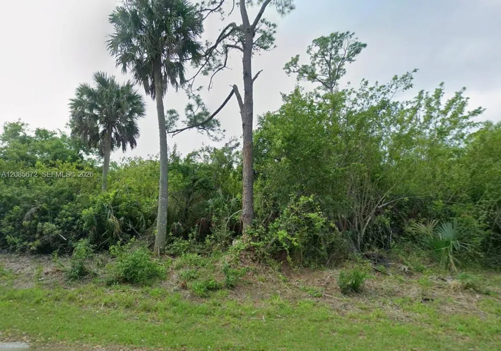 23351 Buckner Ave Port Charlotte, FL 33980
