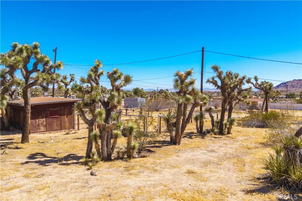 58662 Buena Vista Drive Yucca Valley, CA 92284