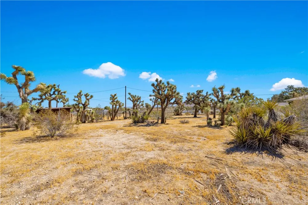 58662 Buena Vista Drive Yucca Valley, CA 92284