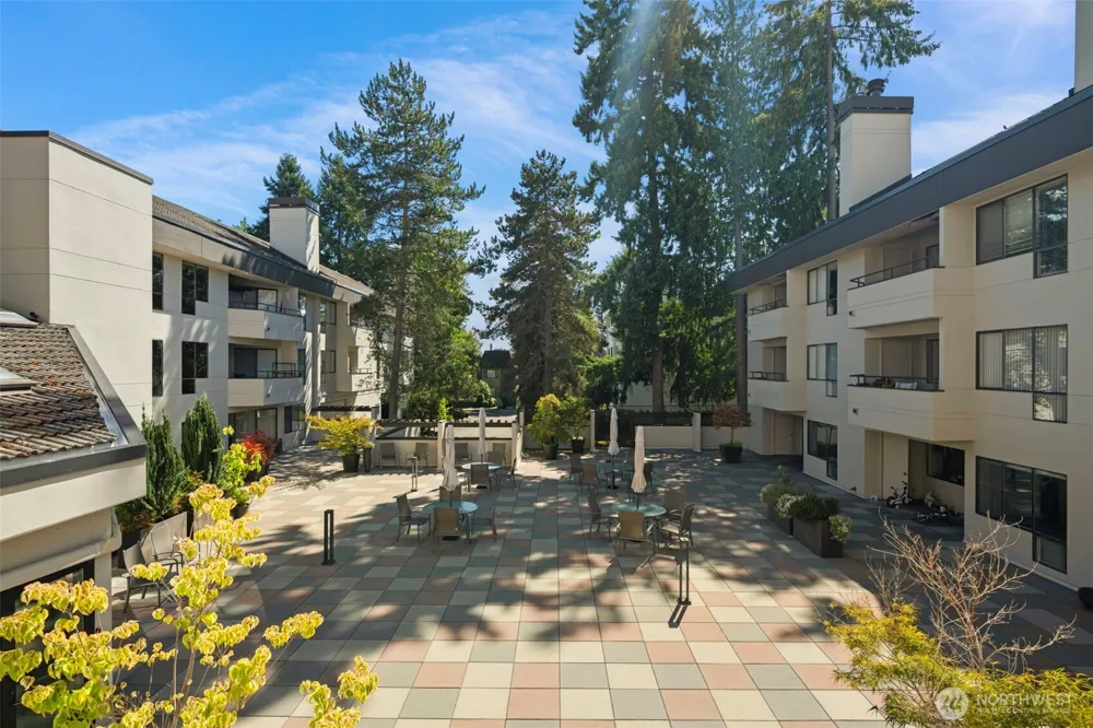 401 100th Avenue NE #213 Bellevue, WA 98004
