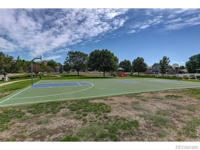 179 Green Teal Drive Loveland, CO 80537