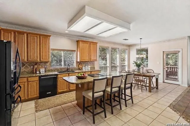 24219 Big Bear San Antonio, TX 78258
