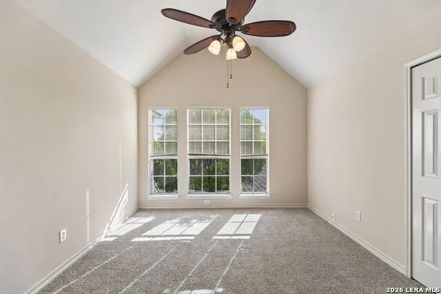 24219 Big Bear San Antonio, TX 78258