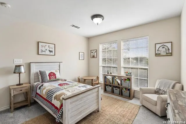 24219 Big Bear San Antonio, TX 78258