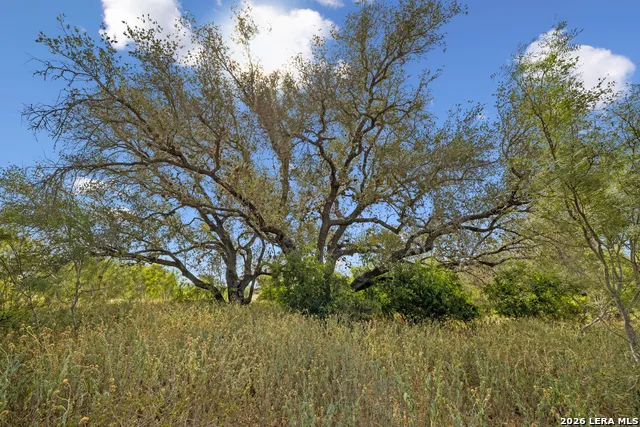 466 County Road 742 Yancey, TX 78886