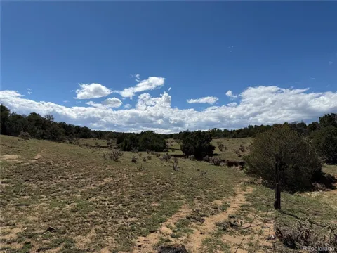 81 Twin Lakes Ranch