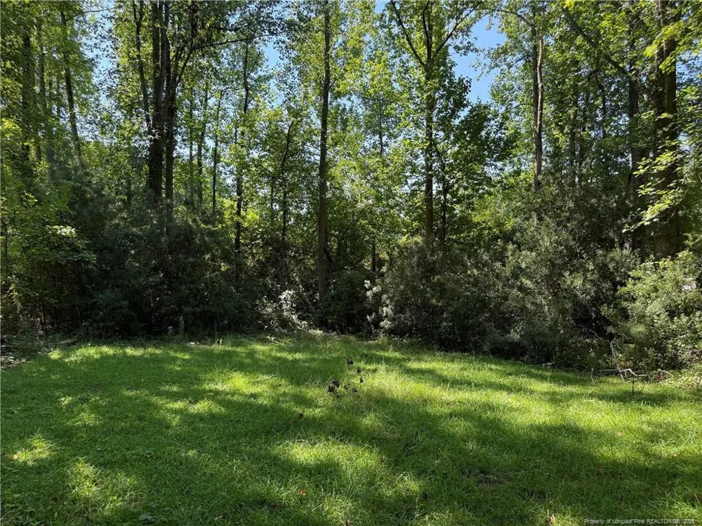700 Anderson Creek Drive Spring Lake, NC 28356