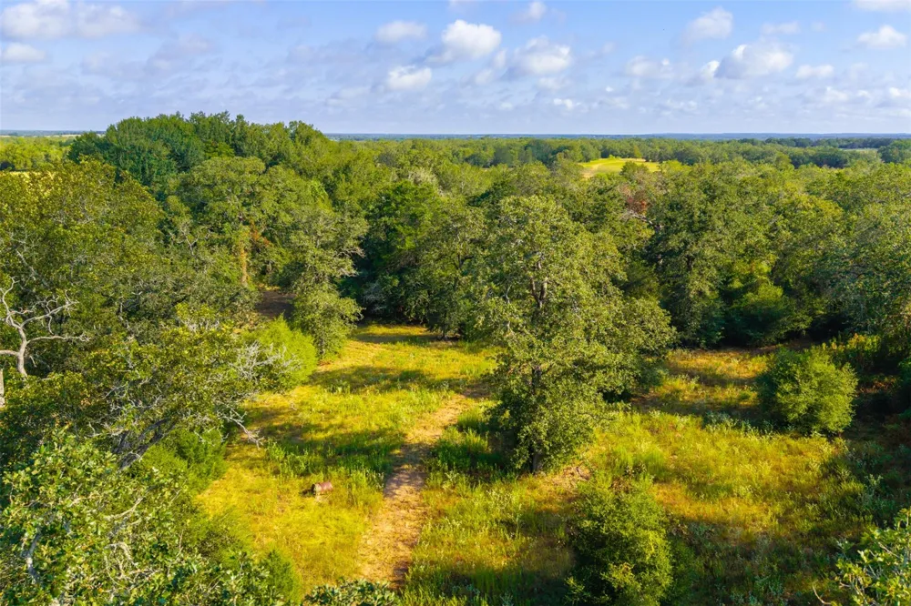 1960 County Road 413 Lexington, TX 78947