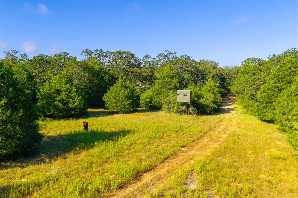1960 County Road 413 Lexington, TX 78947