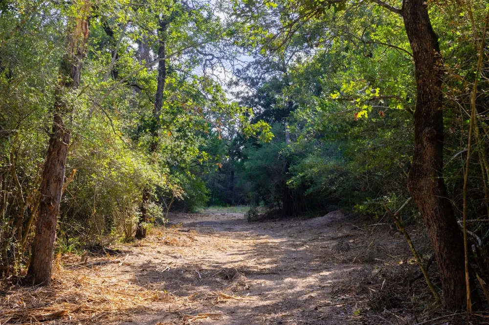 1960 County Road 413 Lexington, TX 78947