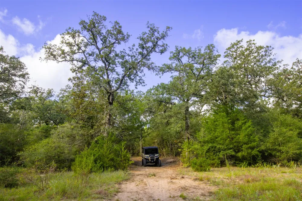 1960 County Road 413 Lexington, TX 78947