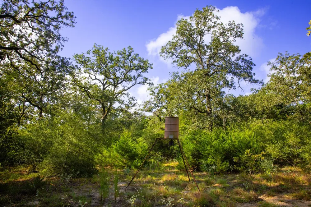 1960 County Road 413 Lexington, TX 78947