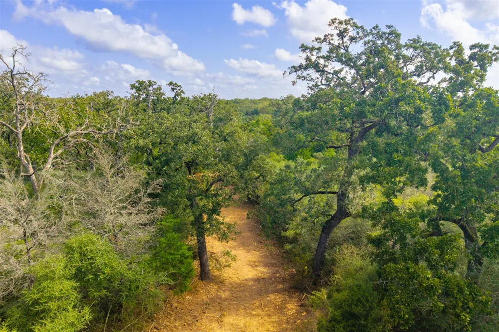 1960 County Road 413 Lexington, TX 78947